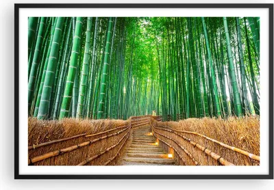 Produktbild von Gerahmtes Poster - Schwarzer Rahmen - Bambus Pflanze - 91,5x61 cm - Wand Bild - Wanddeko - Wandbilder - Kunstposter - Wandposter - Bilderrahmen - Bilder - Kunstdruck - Wandbild - P2BAA91x61-3979