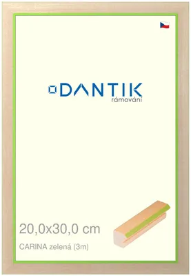 Zdjęcie produktu dla Ramka DANTIK 20x30 | CARINAgreen (szkło przezroczyste)