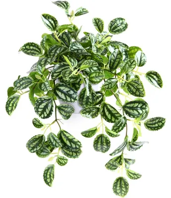 Productafbeelding van Kunstplant, 38 cm, donkergroen, 1 stuk