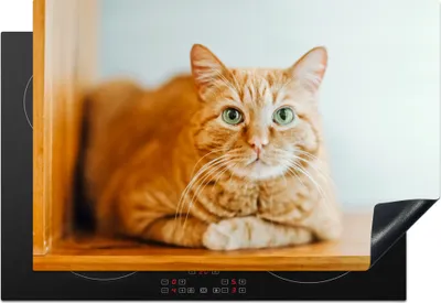 Produktbild von KitchenYeah© Herdabdeckplatte Katze - Holz - Schrank , 76x51cm, Küche Deko, Glaskeramikkochfeld Herdabdeckung, Abdeckplatte fùr Kochfeld