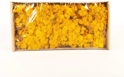 Produktbild von INNA-Glas Dekoratives Moos SVEINBJÖRN, ockergelb, 500g - Echtes Isländisches Moos