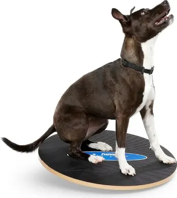 Obrázek produktu pro Balance Board für Hunde - 50 cm, Balancetraining