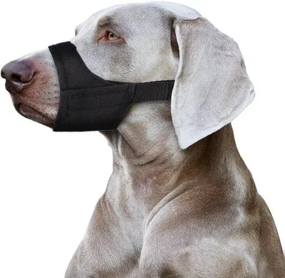Immagine prodotto di Copricapo per cani brachicefali - Anti-morso e anti-abbaio - Circonferenza della testa: 17,8-21 cm