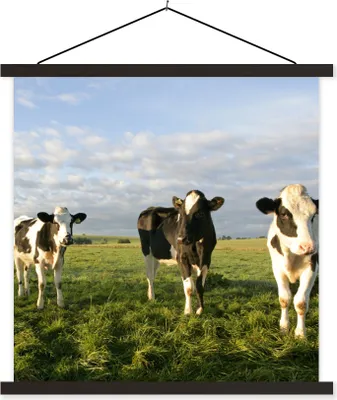 Produktbild von MuchoWow® Textilposter Kuh - Sonne -Tier 90x90 cm mit schwarzem Rahmen - Magnetisches