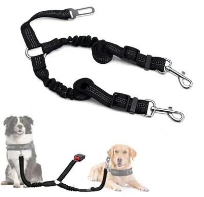 Image de INF Ceinture de sécurité double pour animaux : Laisse en nylon réglable Le noir