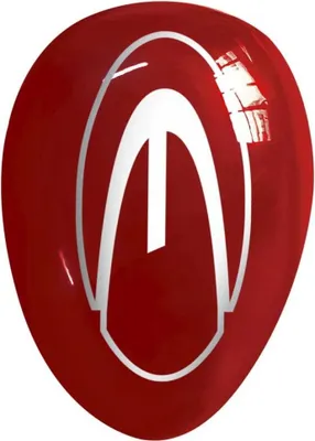 Immagine prodotto di Peso del piombo Epsealon Rosso 1 kg Rosso 1 kg