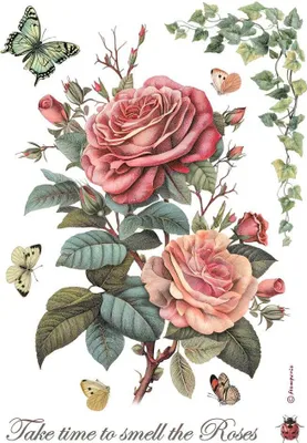 Immagine prodotto di Carta di riso per decoupage A4 - Stamperia - Rosa grande