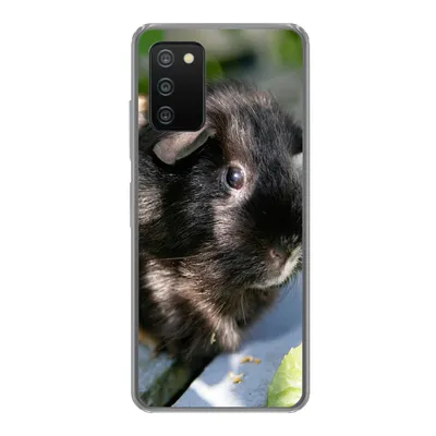 Produktbild von MuchoWow® Handyhülle Schutzhülle Hülle für Samsung Galaxy A03s Meerschweinchen im Garten Silikon Softcase Handy Hülle - Schutz