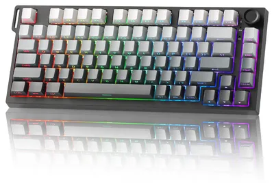 Image de Clavier de jeu mécanique, dégradé noir, avec technologie Hall magnétique, format compact 75%, éclairage RGB
