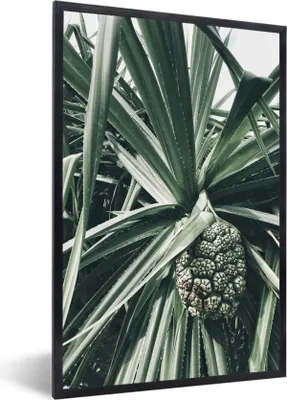 Produktbild von MuchoWow® Gerahmtes Poster Kaktus - Grün - Tropisch 60x90 cm - Poster mit Schwarzem Bilderrahmen Wandposter Rahmen Foto Bilder - Kunst