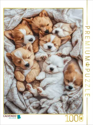 Produktbild von CALVENDO Puzzle Einfach süß | 1000 Teile Lege-Größe 64x48cm Foto-Puzzle für glückliche Stunden