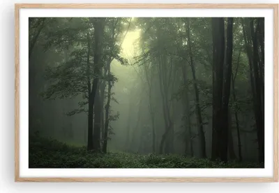 Produktbild von Gerahmtes Poster - Rahmen in heller Eiche - Wald Nebel Baum - 91,5x61 cm - Wand Bild - Wanddeko - Wandbilder - Kunstposter - Wandposter - Bilderrahmen - Bilder - Kunstdruck - Wandbild P2NAA91x61-3543