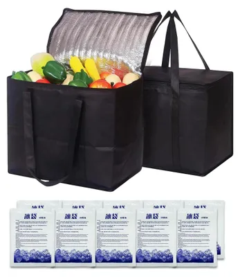 Productafbeelding van Set van 2 koeltassen (20 l) + 10 herbruikbare ijszakken, opvouwbaar