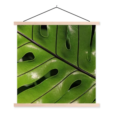 Produktbild von MuchoWow® Textilposter Tropische botanische Blätter leuchten in der Sonne 40x40 cm mit holzfarbenen Rahmen - Posterleiste