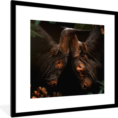 Produktbild von MuchoWow® MuchoWow® Gerahmtes Poster Tiere - Dschungel - Kühe 40x40 cm - Poster mit zchwarzem Bilderrahmen - Poster - Plakat im Rahmen