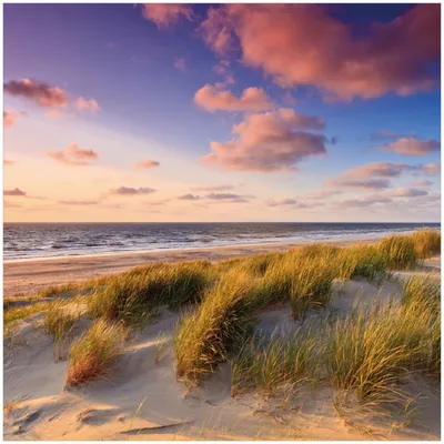 Produktbild von Wallario Premium Glasbild, freischwebende Optik, kräftige Farben, Größe 30 x 30 cm Motiv Abendspaziergang am Strand - Sonnenuntergang über dem Meer