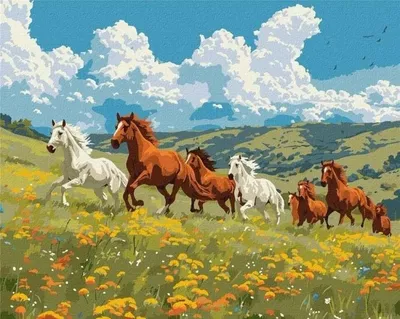 Image de Peinture par numéros - Force et grâce 40 x 50 cm - Ideyka