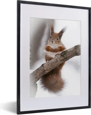 Produktbild von MuchoWow® MuchoWow® Gerahmtes Poster Eichhörnchen - Baum - Schneeflocke - Winter 30x40 cm - Poster mit zchwarzem Bilderrahmen - Wandposter Schlafzimmer