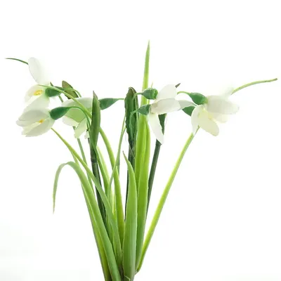 Produktbild von Schneeglöckchenbund Weiß 5 Stiele 30 cm - Kunstblumen