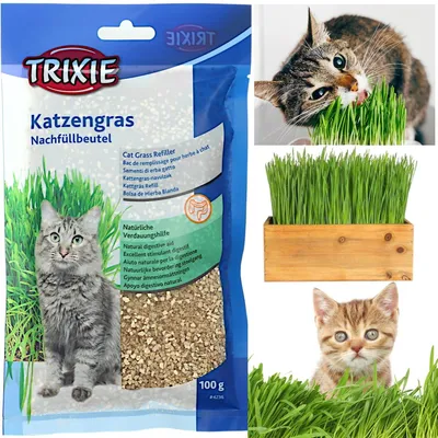 Produktbild von TRIXIE 4236, Katze, 100 g
