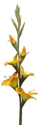 Productafbeelding van Clayre & Eef Kunstbloem Oranje, kunststof