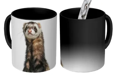 Obrázok produktu pre KitchenYeah® Magický hrnček Magický hrnček Magická fretka - zvieratá - kožušina 350 ml Hrnček na zmenu farby Darčekový nápad - Magický hrnček - Foto hrnček - Keramické hrnčeky - Obrázky - Šálka na kávu - Nápojový hrnček -