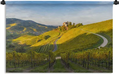 Produktbild von MuchoWow® Wandteppich Wandbehang Foto vom Schwarzwald in Europa 90x60 cm Tapisserie Dekoration Wandtuch - Wandskulpturen - Bildteppich