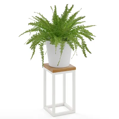 A potted fern sits on a white metal plant stand with a wooden top.