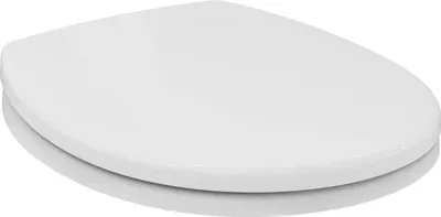 A white toilet seat is shown from a slightly elevated side angle against a white background.