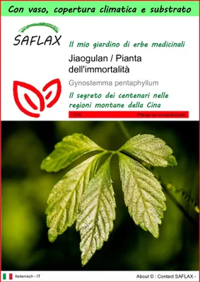 Immagine prodotto di SAFLAX Garden to go - Jiaogulan / Pianta dell'immortalità - 30 semi - Gynostemma