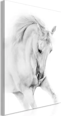 Produktbild von Italienischer Leinwand Leinwandbild - White Horse (1 Part) Vertical 80x120 cm Tiere g-B-0110-b-a