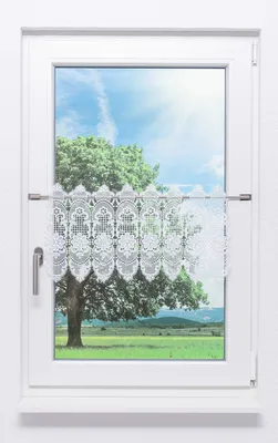 Produktbild von Scheibengardine Plauener Spitze - Spitzenblume (Bx H) 40.50cm * 34cm Weiß/weiß