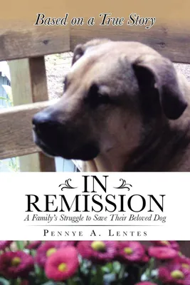 Produktbild von In Remission