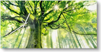Produktbild von DEQORI Glasuhr 60x30 cm Zahlen 'Eindrucksvoller Baum' Wanduhr Glas Uhr Design leise