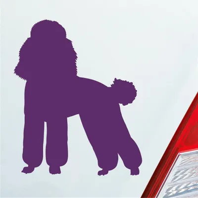 Produktbild von Auto Aufkleber süsser Pudel Hund Dog Tier niedlich Puppy 8x10 cm Lila Sticker Heckscheibenaufkleber