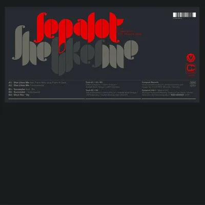 Immagine prodotto di Le piaccio (CD, 2008)