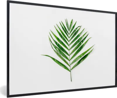 Produktbild von MuchoWow® Gerahmtes Poster Grün - Blatt - Tropisch 90x60 cm - Poster mit Schwarzem Bilderrahmen Wandposter Rahmen Foto Bilder - Fotorahmen - Foto-Plakat