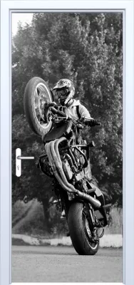 Immagine prodotto di Adesivo per porta in tessuto Trucco acrobatico Superbike 765PD