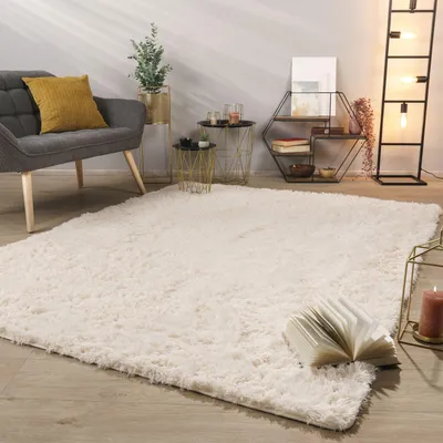 A cozy living room scene with a plush rug, a sofa, and decorative items.
