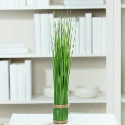 Produktbild von Grasbüschel - - Größe 45 cm