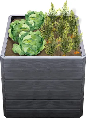 A raised garden bed filled with cabbage and other plants.
