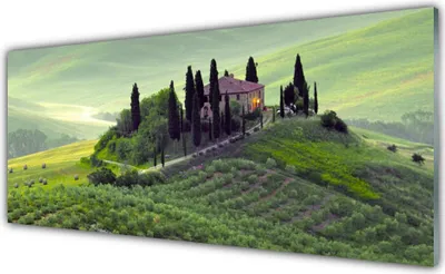 Produktbild von Küchenrückwand aus Glas 125x50cm Spritzschutz Wiese Bäume Natur