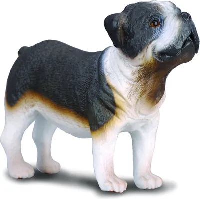 Image de Collecta - Bulldog -M- 88179 (90188179) COLECTA