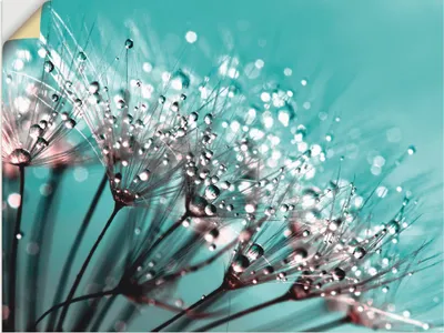 Produktbild von ARTland Wandbild, selbstklebend Glitzernde Pusteblume I Größe: 80x60 cm