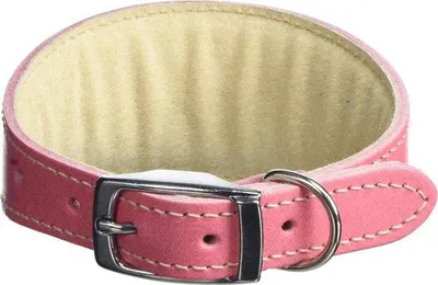 Produktbild von Famanu Hundehalsband Pink - Verstellbare Breite 2 cm - Für Halsumfang 25 bis 30 cm