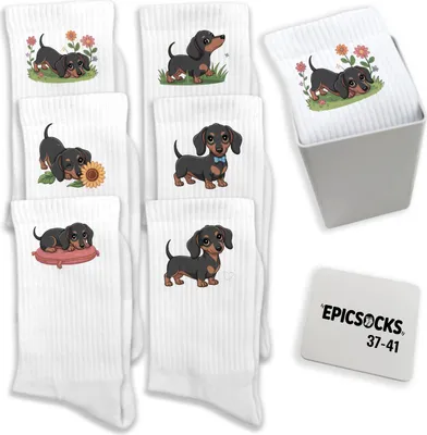 Produktbild von epicsocks Dackel Dreams Socken in 37-41 im