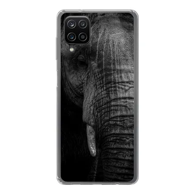 Produktbild von MuchoWow® Handyhülle Schutzhülle Hülle für Samsung Galaxy A12 Elefant - Tier - Porträt Silikon Softcase Handy Hülle - Bild