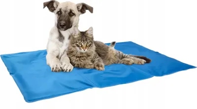 Produktbild von KADAX Hundekühlmatte, 90 x 50 cm, Selbstkühlendes Bett für Hunde und Katzen