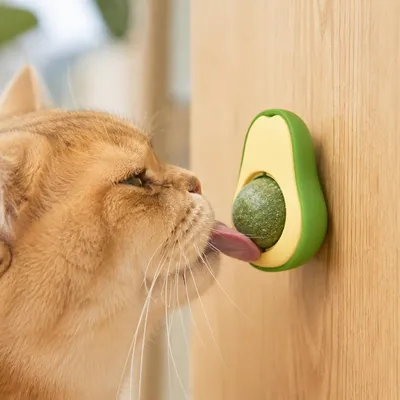 Produktbild von Avocado Katzenminze Spielzeug - 360° Drehbarer Catnip Ball für Katzen, Grün, KI-generiertes Bild