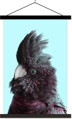 Produktbild von MuchoWow® Textilposter Kakadu - Vogel - Blau 60x90 cm mit schwarzem Rahmen - Poster Wohnzimmer